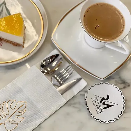Royal Mass Airport Business 酒店 Arnavutkoy